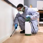 Why Zenna Exists: The Human Story Behind Every Move, Clean & Fumigation Job.