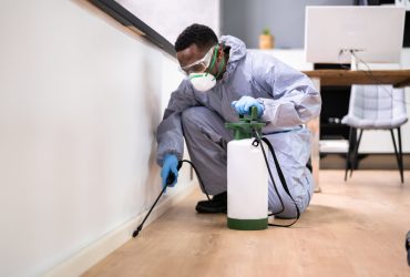 fumigation services fumigation services